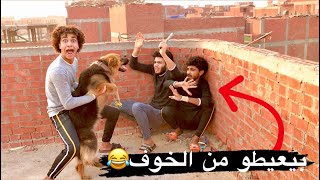زنقت صحابي علي السطح بأشرس كلب في العالم شوفو حصلهم ايه😱