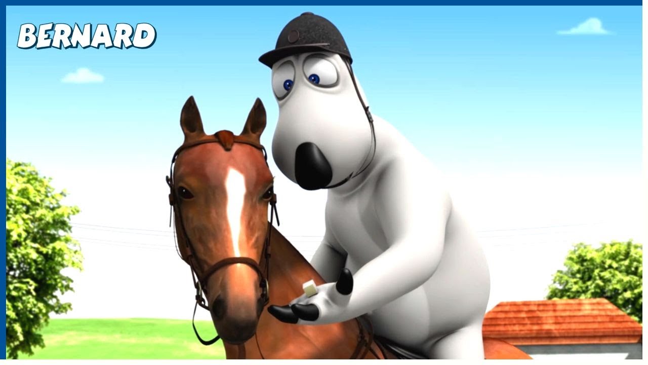 DRESSAGE | Bernard | 110' Compilation