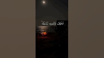 #اكسبلور  احترام القرآن الكريم ثواني