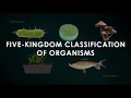 Five Kingdoms of Life: Classifying Organisms in Biology