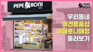 강아지, 고양이 애완용품쇼핑하기ㅣ신기한 애견용품 판매점 (1:10