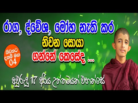 රාග, ද්වේශ, මෝහ නැතිකර නිවන සොයා ගන්නේ කෙසේද || Part 04 || Helaye Api || Ariya Uththamayan