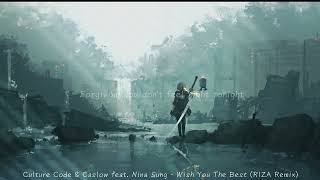 Culture Code & Caslow feat. Nina Sung - Wish You The Best (RIZA - Remix) Lyric