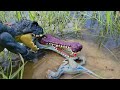 Dinosaur Rescue! Baby Beta,Scopios Rex,Sarcosuchus in Jurassic world camp cretaceous.