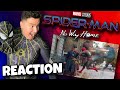 Spider-Man No Way Home Trailer REACTION