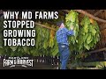 Why maryland farms stopped growing tobacco