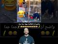 المهم أنها أكملت المكالمة News Stories YouTube المهم أنها أكملت المكالمة News Stories YouTube