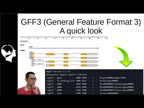 GFF3 File Format | A Quick Look