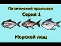 Русская Рыбалка 3.99 (Russian Fishing) Патагонский промысел 1 - Морской лещ