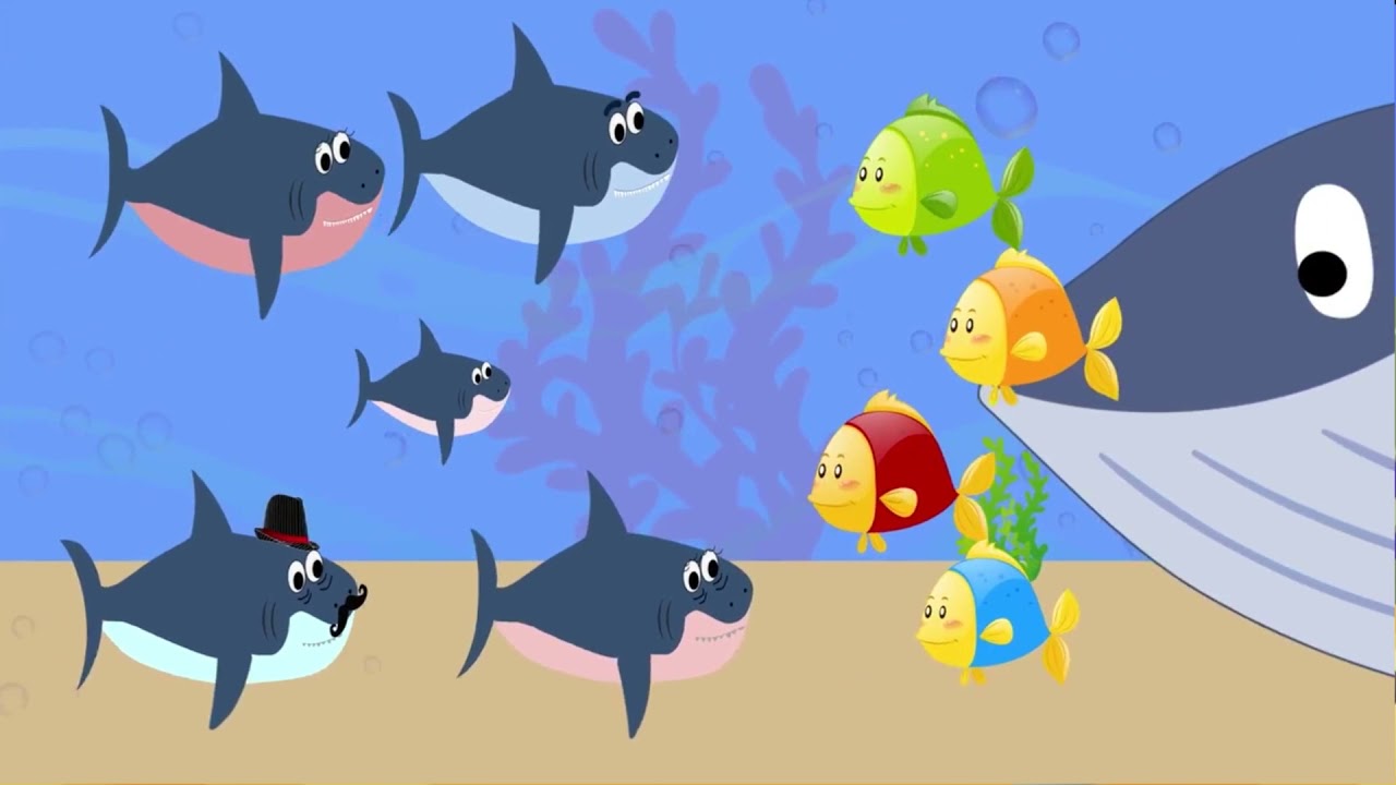 акуленка туруру. сшить рыбу из фетра. акула развивающий. акулёнок туруру. мультфильм акуленок туруру.