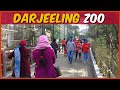 Darjeeling Zoo Tour | Darjeeling Zoo