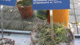 Orto botanico di Napoli