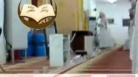 تلاوة من سورة يوسف للقارئ محمد الداه الشنقيطي - شبكة قراء شنقيط