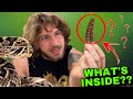 Whats inside the rattlesnakes rattle