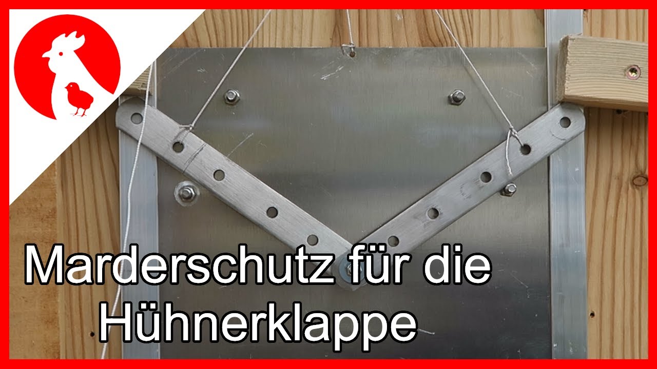 054 Vollautomatische Hühnerklappenverriegelung DIY = sicherer Hühnerstall - safe chicken coop 🐔