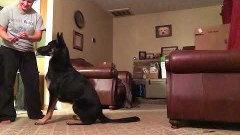 Sloan chin rest with reverse luring