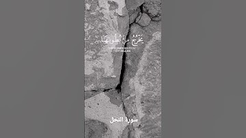 وأوحى ربك إلى النحل أن اتخذي من الجبال بيوتاً ومن الشجر ومما يعرشون | القارئ : خالد الجليل #اكسبلور
