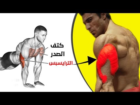 افضل تمارين تضخيم الترايسبس كمال الاجسام - استهداف جميع زوايا بالصور متحركة وللمبتدئين