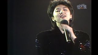 김완선 - 삐에로는 우릴 보고 웃지 #1991년 #인기가요 #kpop classic