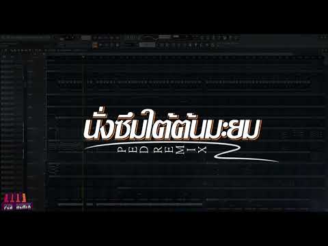 ไหลพิณ นั่งซึมใต้ต้นมะยม V.2 ( PED REMIX )