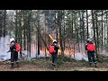 Große Teile Sibiriens weiter in Flammen | AFP