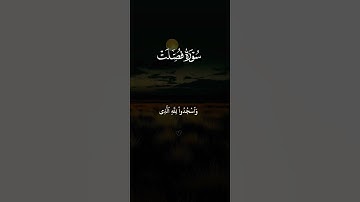 اكتب شيء تؤجر عليه 😴💚 قران كريم | علاء عقل