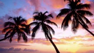 Bobby Caldwell ~ Perfect Island Night chords