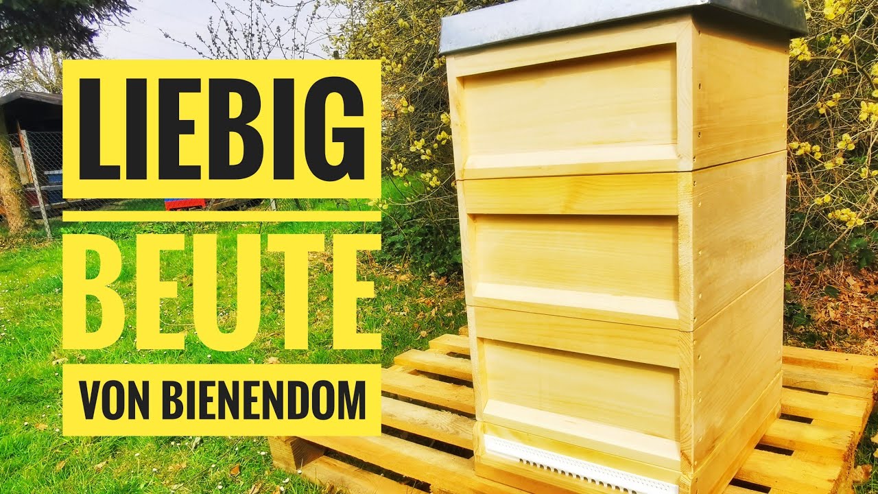 #Liebig Beute von Bienendom #Bienendom | Vorbereitung auf die #Bienensaison 2023
