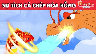 Câu chuyện cuối tuần | Sự tích Cá Chép hóa Rồng