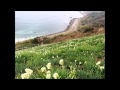 演歌師/香田晋   小橋浩司12【高音質】