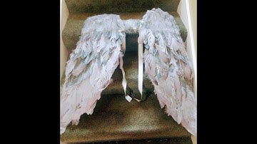 Sowder Duck Goose Feather Trim Fringe 2 Yards (Gold) Amazon Review