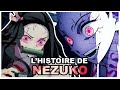 Histoire de nezuko kamado demon slayer