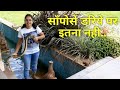 यह व्हिडिओ आपको हँसा देगा.. Ratsnake: Nonvenomous rescue by Nirzara Chitti