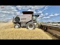 Centennial gleaner s97 combine harvesting wheat