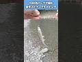 自作スピナーをチャビング用極小サイズで組んでみた