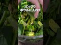 栄養満点ヘルシー副菜◎ほうれん草の白和え【今日のあと一品】【副菜レシピ】#shorts