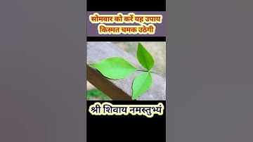 सोमवार को करें यह उपाय किस्मत चमक उठेगी# पंडित प्रदीप जी मिश्रा का उपाय #sawan #shiv #motivational