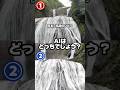 AIはどっちでしょう？#AI #クイズ #滝 #茨城 #自然