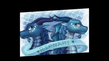 ℛ𝒾𝓅𝓉𝒾𝒹ℯ |Tsunami & Riptide edit|#Ripnami #wingsoffire #wof