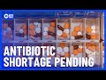 Doctors Concerned About Shortage Of Critical Antibiotics | 10 News First