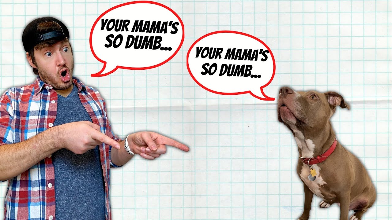 YOUR MAMA JOKES WITH PENNY - 