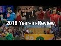 2016 table tennis season in review