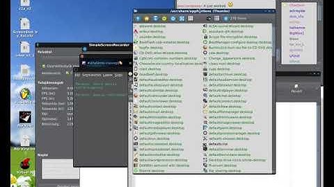 Puppy Linux - Firefox no sound - start with apulse