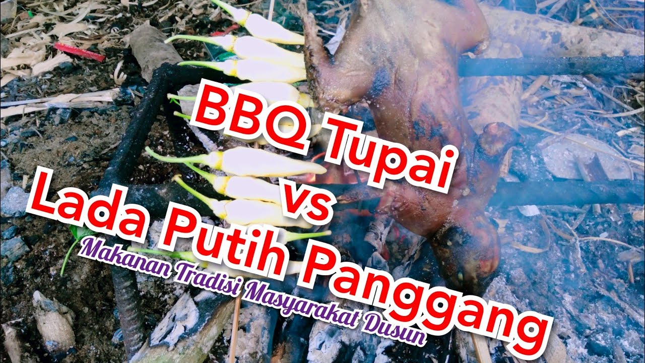 PERANGKAP TUPAI & TIPS SURVIVAL RINGKAS - YouTube