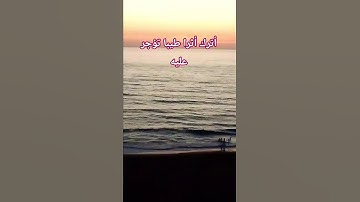 تلاوة #explore #quran #قرآن #سورة_الكهف #اسلام_صبحي #اكسبلور @hasalaih #قران_كريم #لايك