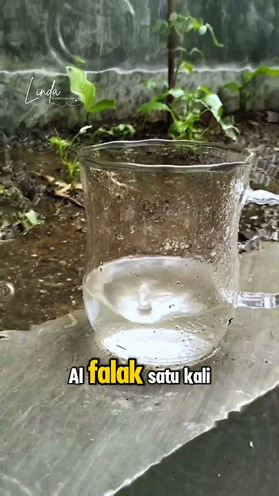 The Power of Rainwater on Fridays... 😱⁉️#tips #healthtips #healthinfo #naturalmedicine #rainwater