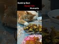 Ranking Hungry Cats Moments