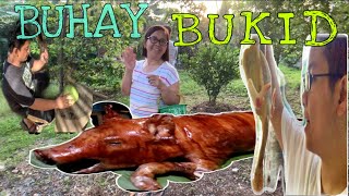 BUHAY BUKID | ESTONG LECHON | BOODLE FIGHT | MIOH CANDAVA