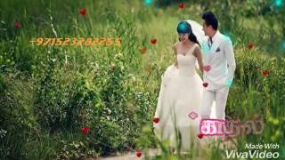 New beary song pennu ro nombala