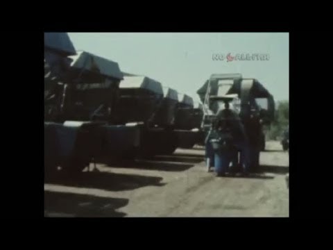 1983 год. Уборка хлопчатника в Узбекистане в условиях небывалой жары.